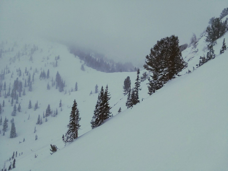 Illustration for article titled '18/'19 Ski Blog (Post #7) -Â Solitude and Alta, UT